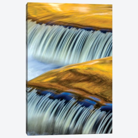 Golden Middle Branch of the Ontonagon River, Bond Falls Scenic Site, Michigan USA I Canvas Print #UCK36} by Chuck Haney Canvas Art