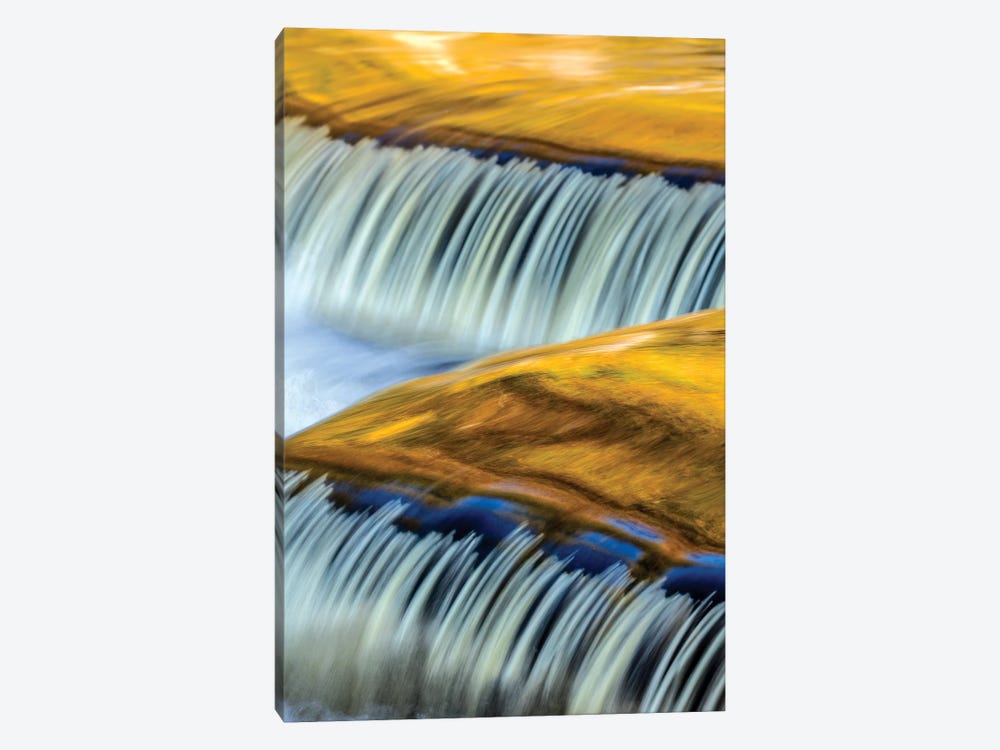 Golden Middle Branch of the Ontonagon River, Bond Falls Scenic Site, Michigan USA I by Chuck Haney 1-piece Canvas Print