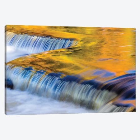 Golden Middle Branch of the Ontonagon River, Bond Falls Scenic Site, Michigan USA II Canvas Print #UCK37} by Chuck Haney Canvas Art