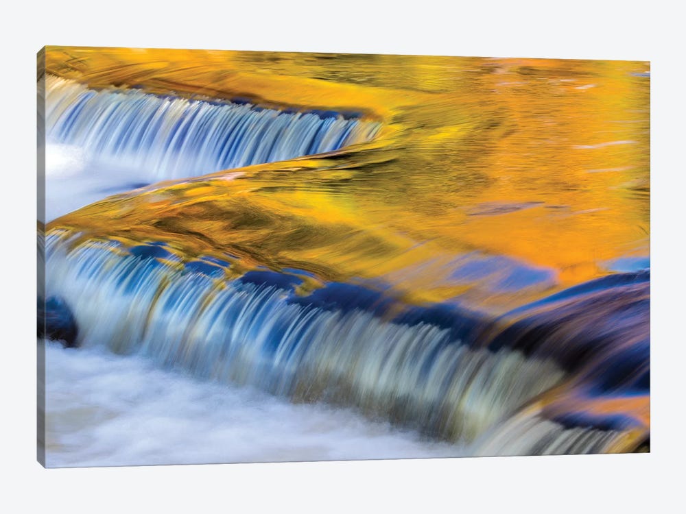 Golden Middle Branch of the Ontonagon River, Bond Falls Scenic Site, Michigan USA II by Chuck Haney 1-piece Canvas Art