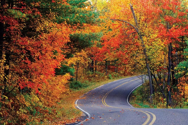 Autumn Landscape, Park Drive, Itasca State Park, Minnesota, USA