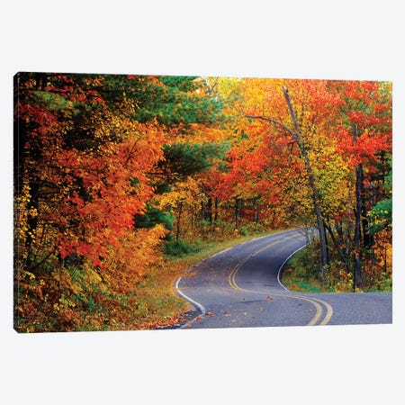 Autumn Landscape, Park Drive, Itasca State Park, Minnesota, USA Canvas Print #UCK3} by Chuck Haney Canvas Art