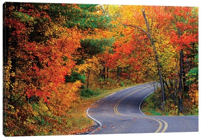 Autumn Landscape, Park Drive, Itasca State Park, Minnesota, USA Canvas Art Print - Chuck Haney