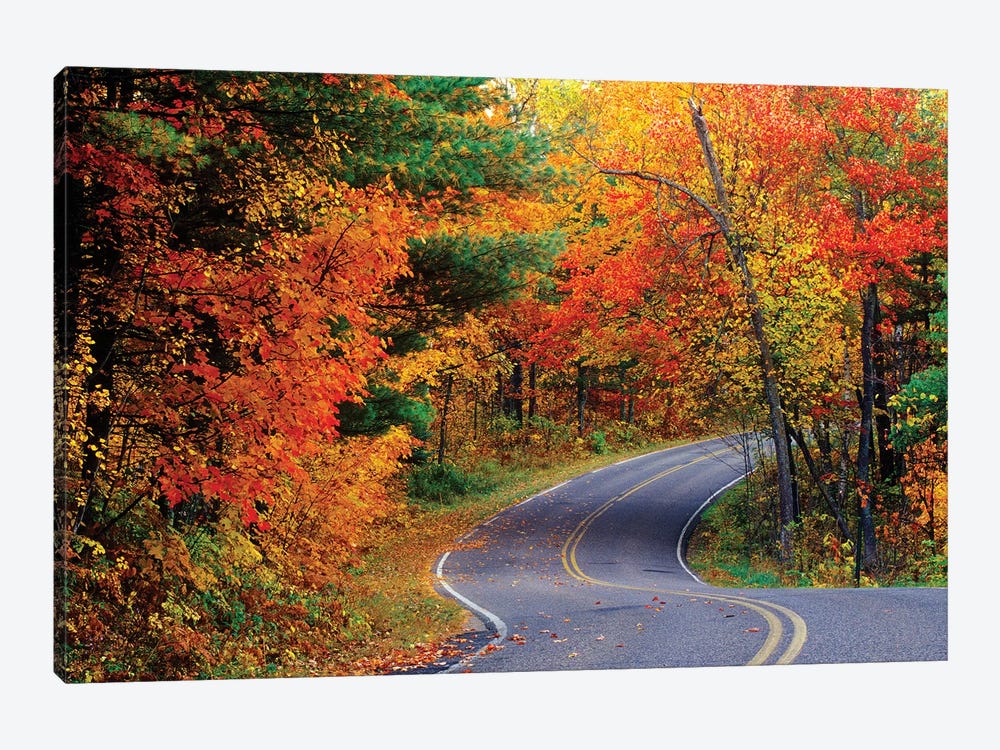 Autumn Landscape, Park Drive, Itasca State Park, Minnesota, USA by Chuck Haney 1-piece Art Print