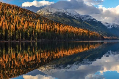 Mountain peaks reflect into Bowman Lake in autumn, Glacier National Park, Montana, USA I by Chuck Haney art print