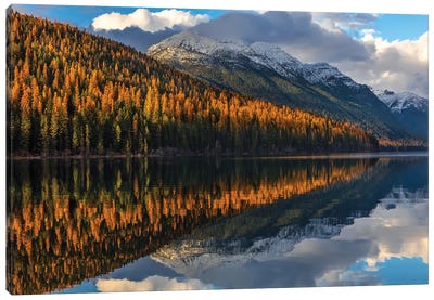 Mountain peaks reflect into Bowman Lake in autumn, Glacier National Park, Montana, USA I Canvas Art Print - Glacier National Park Art