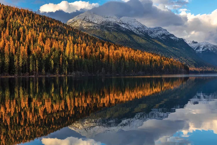 Mountain peaks reflect into Bowman Lake in autumn, Glacier National Park, Montana, USA I