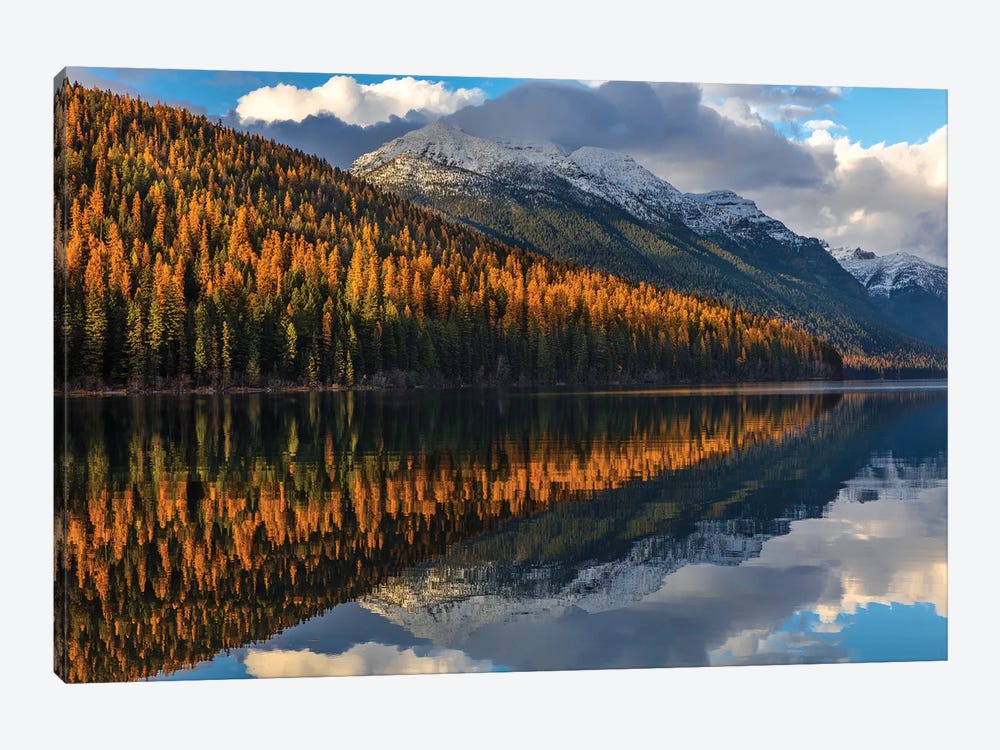 Mountain peaks reflect into Bowman Lake in autumn, Glacier National Park, Montana, USA I by Chuck Haney 1-piece Canvas Art