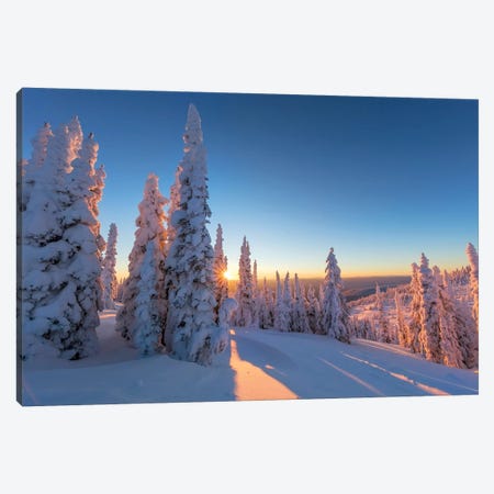 Setting sun through forest of snow ghosts at Whitefish, Montana, USA Canvas Print #UCK48} by Chuck Haney Canvas Artwork