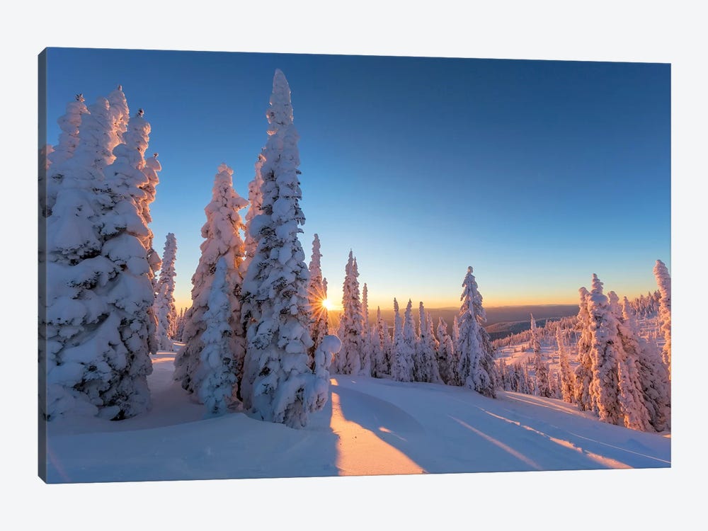 Setting sun through forest of snow ghosts at Whitefish, Montana, USA by Chuck Haney 1-piece Canvas Artwork