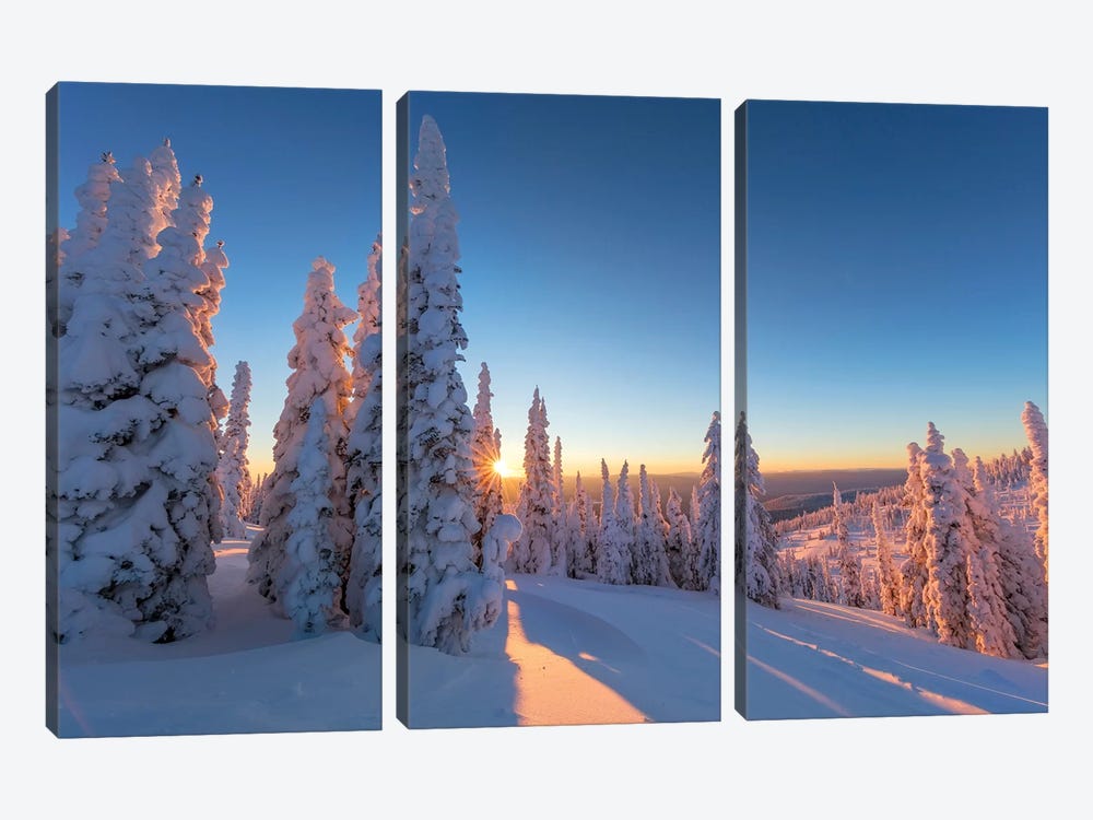 Setting sun through forest of snow ghosts at Whitefish, Montana, USA by Chuck Haney 3-piece Canvas Art