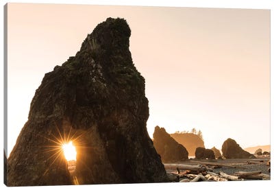 Sunset along sea stacks on Ruby Beach in Olympic National Park, Washington State, USA Canvas Art Print - Olympic National Park Art