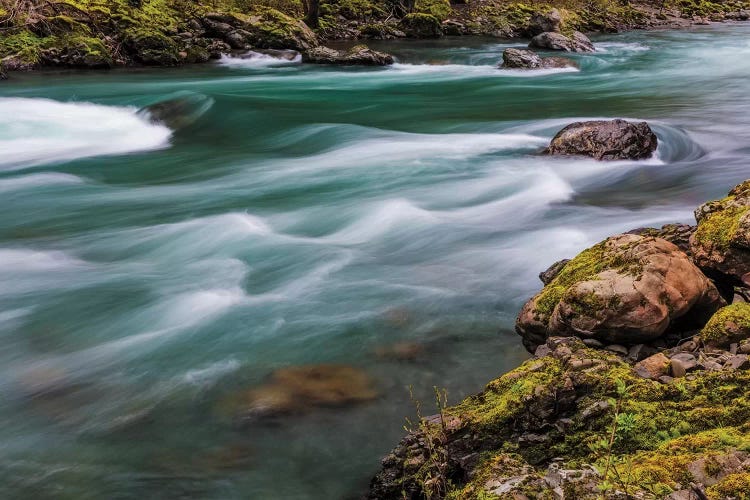 The Elwha River in Olympic National Park, Washington State, USA