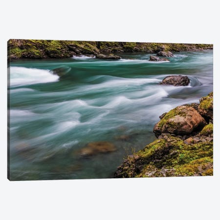 The Elwha River in Olympic National Park, Washington State, USA Canvas Print #UCK52} by Chuck Haney Canvas Art Print