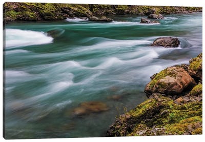 The Elwha River in Olympic National Park, Washington State, USA Canvas Art Print - Olympic National Park Art