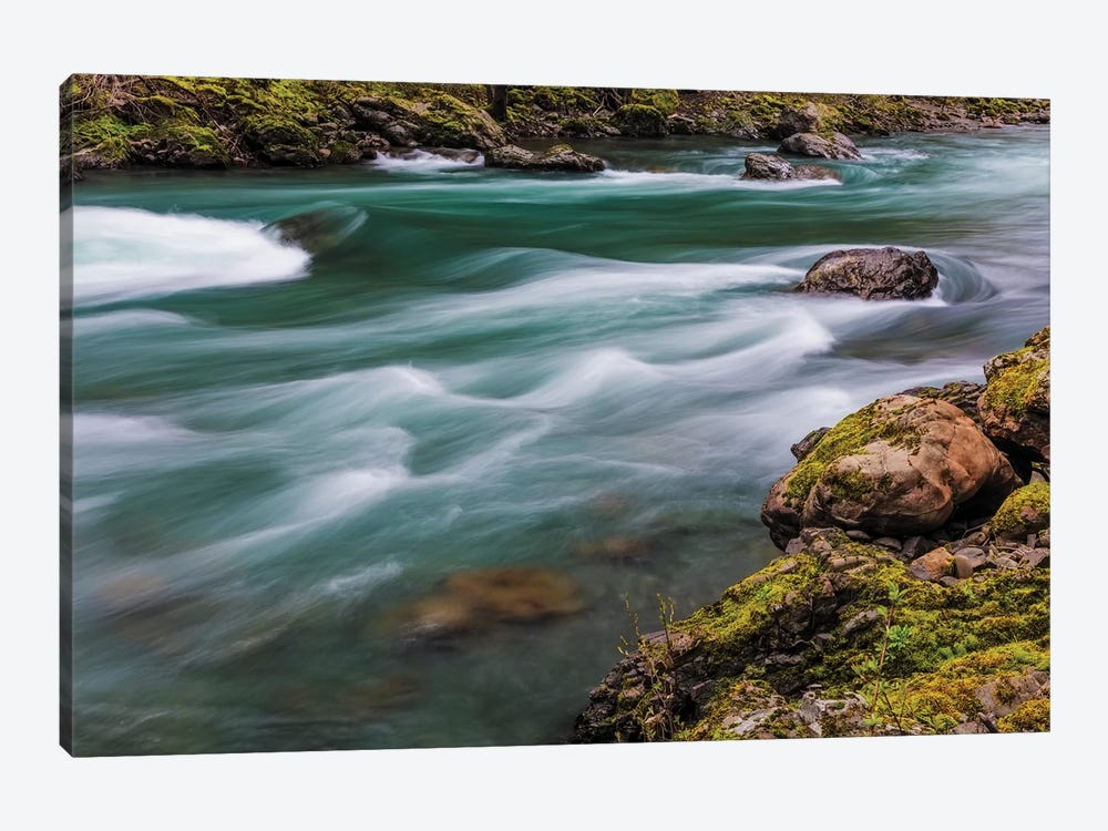 The Elwha River in Olympic National Park, Washington State, USA by Chuck Haney 1-piece Art Print