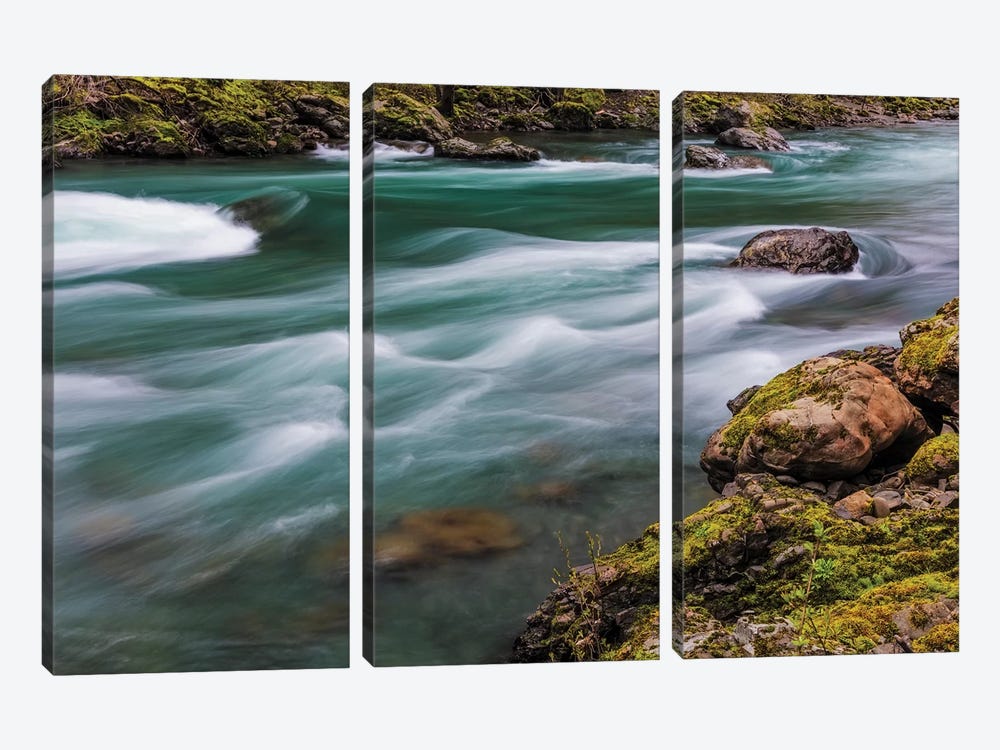 The Elwha River in Olympic National Park, Washington State, USA by Chuck Haney 3-piece Canvas Print