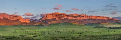 Beef cattle graze below Walling Reef on the Rocky Mountain Front at sunrise near Dupuyer, Montana by Chuck Haney framed canvas print