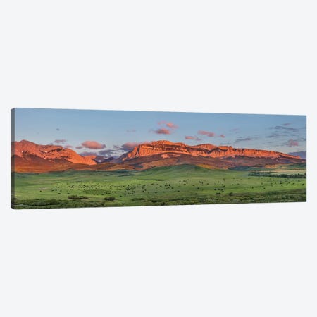 Beef cattle graze below Walling Reef on the Rocky Mountain Front at sunrise near Dupuyer, Montana Canvas Print #UCK59} by Chuck Haney Canvas Art Print