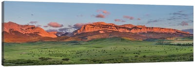 Beef cattle graze below Walling Reef on the Rocky Mountain Front at sunrise near Dupuyer, Montana Canvas Art Print - Chuck Haney