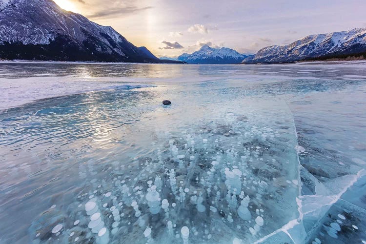 Methane ice bubbles under clear ice on Abraham Lake near Nordegg, Alberta, Canada