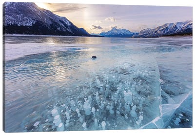 Methane ice bubbles under clear ice on Abraham Lake near Nordegg, Alberta, Canada Canvas Art Print - Chuck Haney