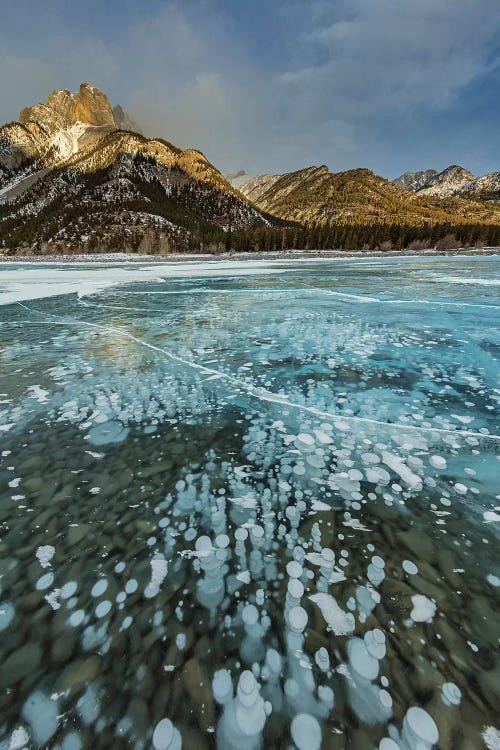 Mount Abraham at sunrise with methane ice bubbles under clear ice on Abraham Lake