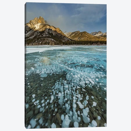 Mount Abraham at sunrise with methane ice bubbles under clear ice on Abraham Lake Canvas Print #UCK69} by Chuck Haney Canvas Art