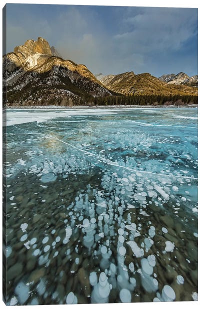 Mount Abraham at sunrise with methane ice bubbles under clear ice on Abraham Lake Canvas Art Print - Chuck Haney