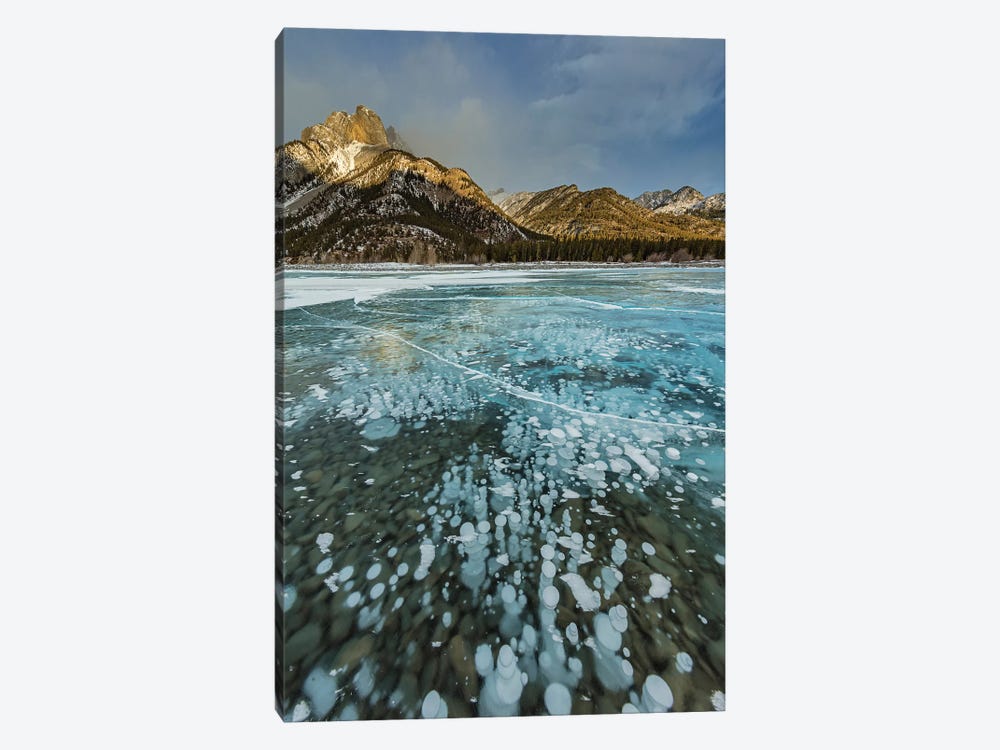 Mount Abraham at sunrise with methane ice bubbles under clear ice on Abraham Lake by Chuck Haney 1-piece Canvas Art Print