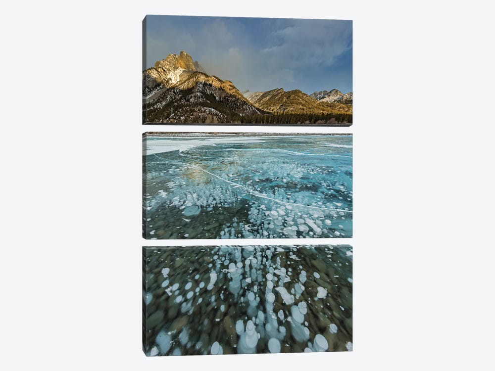 Mount Abraham at sunrise with methane ice bubbles under clear ice on Abraham Lake by Chuck Haney 3-piece Art Print
