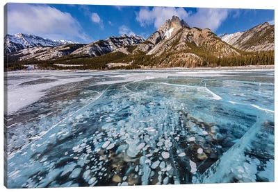 Mt. Abraham at sunrise and methane ice bubbles under clear ice on Abraham Lake, Alberta, Canada Canvas Art Print - Chuck Haney