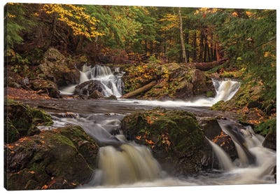 Rapids and autumn leaves along the Little Carp River in Porcupine Mountains Wilderness State Park Canvas Art Print - Chuck Haney