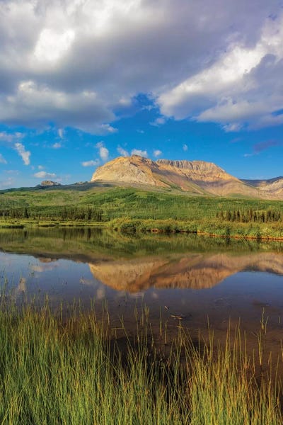 Sofa Mountain reflects into beaver pond in Waterton Lakes National Park, Alberta, Canada by Chuck Haney framed canvas print