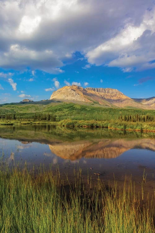 Sofa Mountain reflects into beaver pond in Waterton Lakes National Park, Alberta, Canada