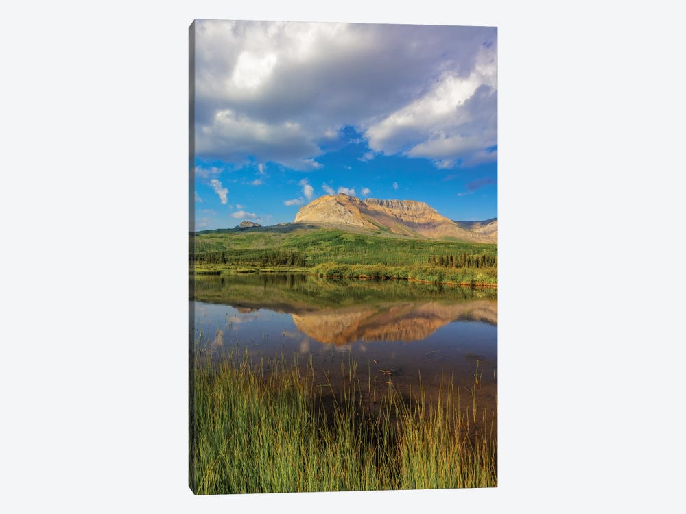 Sofa Mountain reflects into beaver pond in Waterton Lakes National Park, Alberta, Canada by Chuck Haney 1-piece Art Print