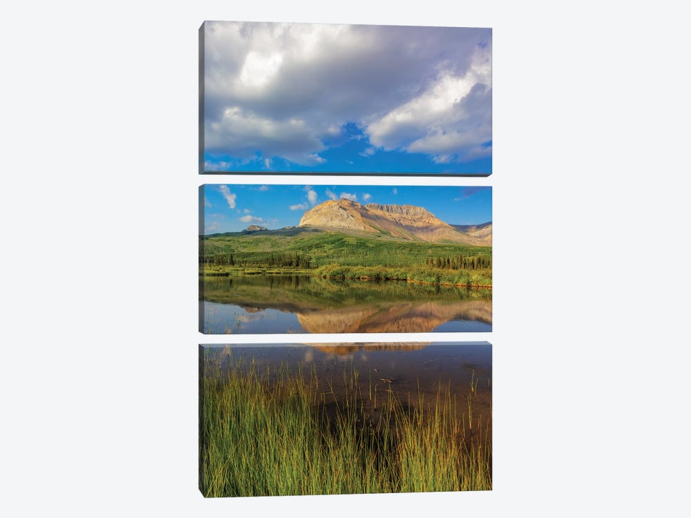 Sofa Mountain reflects into beaver pond in Waterton Lakes National Park, Alberta, Canada by Chuck Haney 3-piece Art Print