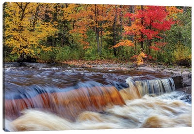 Sturgeon River in autumn near Alberta in the Upper Peninsula of Michigan, USA Canvas Art Print - Chuck Haney