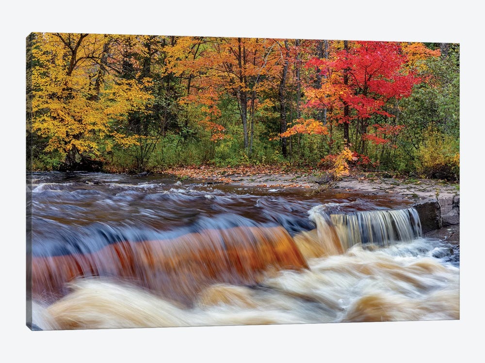 Sturgeon River in autumn near Alberta in the Upper Peninsula of Michigan, USA by Chuck Haney 1-piece Canvas Artwork