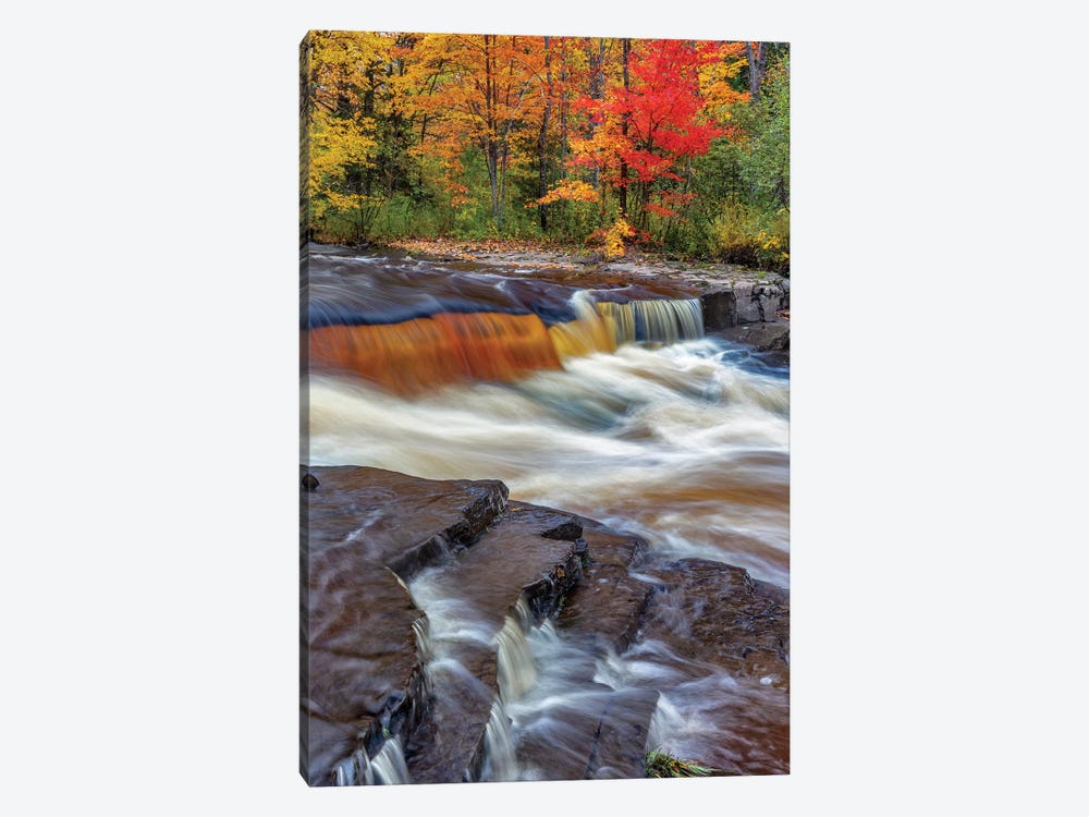 Sturgeon River in autumn near Alberta in the Upper Peninsula of Michigan, USA by Chuck Haney 1-piece Art Print