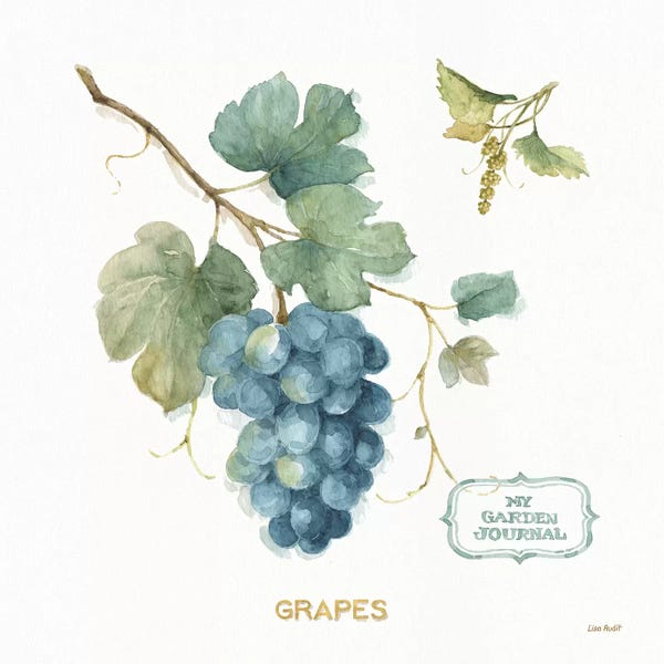 Grapes: My Greenhouse Fruit III by Lisa Audit