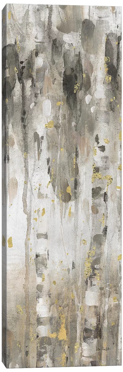 The Forest IV Canvas Art Print - Birch Tree Art