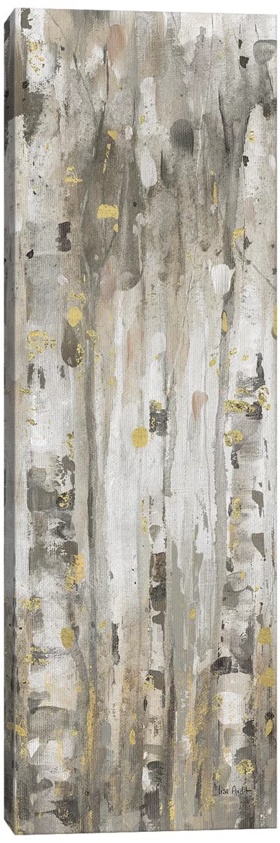 The Forest V Canvas Art Print - Birch Tree Art