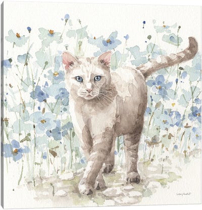 Bohemian Blue IXB Canvas Art Print - Cat Art