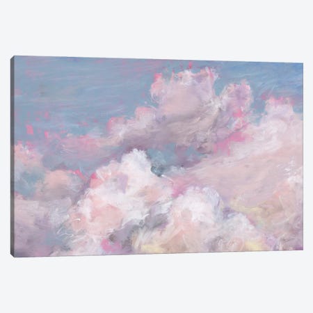 Daydream Pink I Canvas Print #UDI197} by Lisa Audit Canvas Art