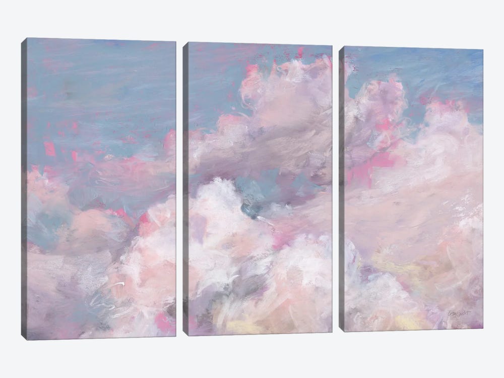 Daydream Pink I by Lisa Audit 3-piece Canvas Art