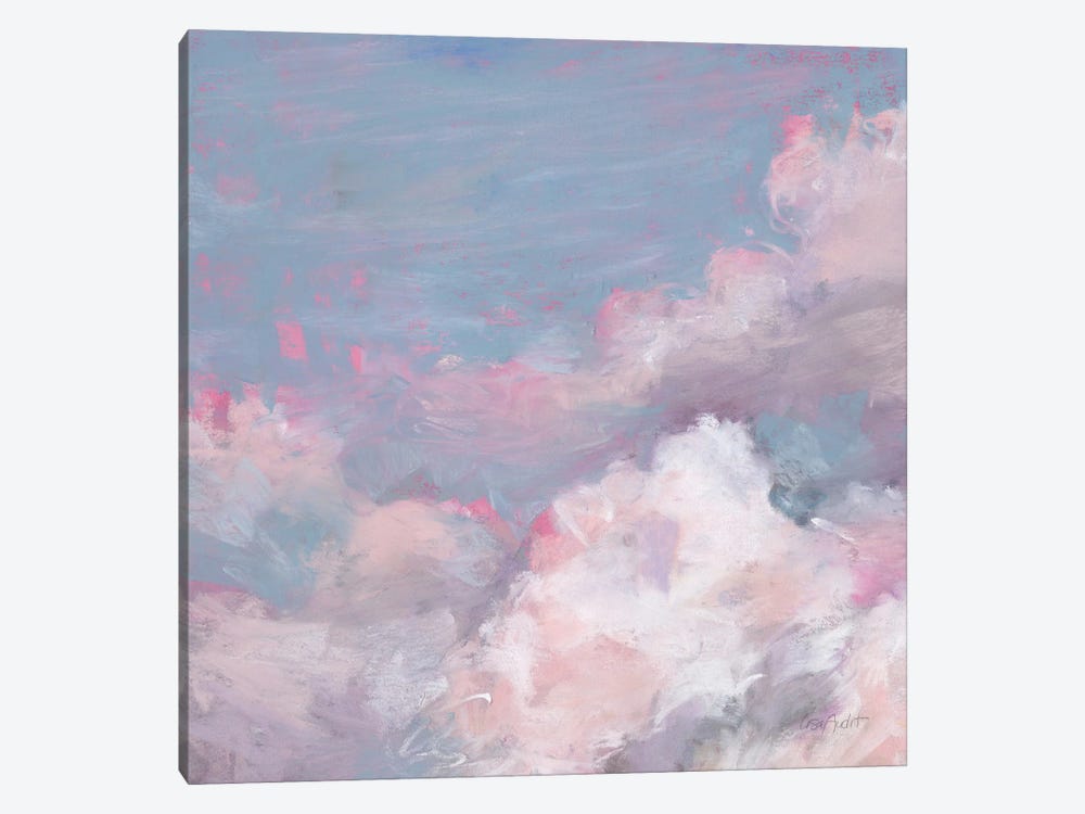 Daydream Pink III by Lisa Audit 1-piece Canvas Artwork
