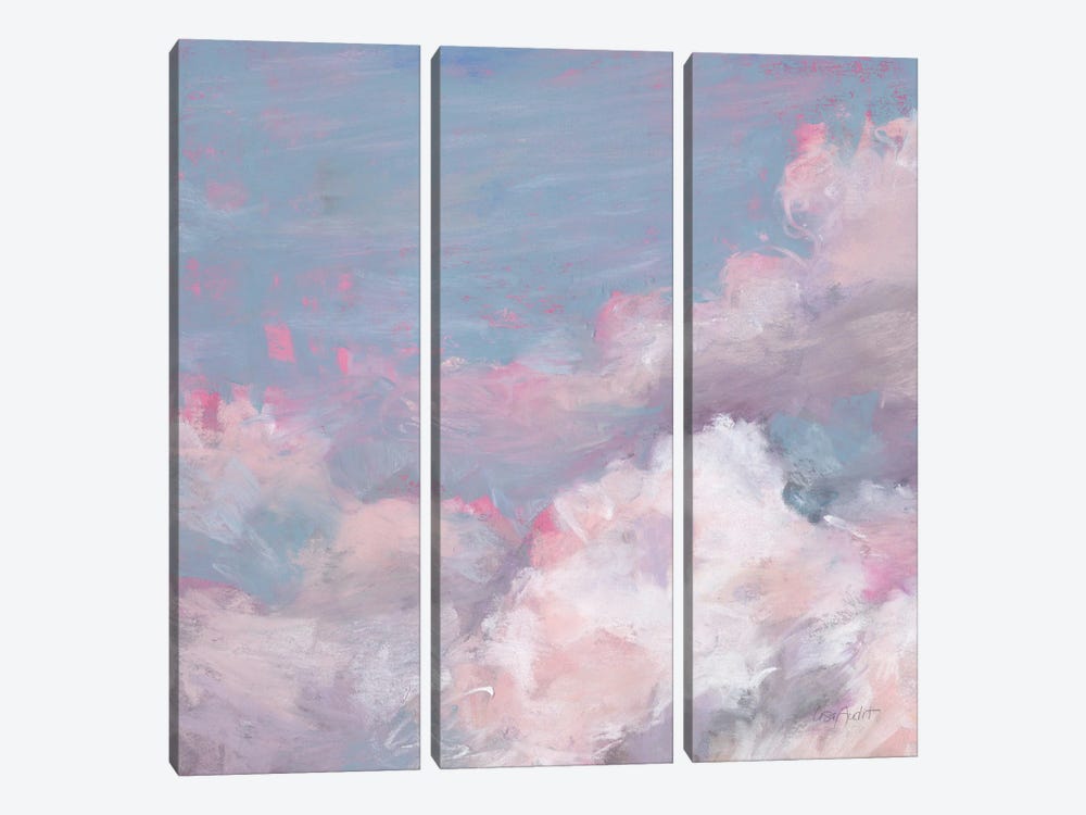 Daydream Pink III by Lisa Audit 3-piece Canvas Artwork
