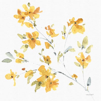 Happy Yellow VA by Lisa Audit framed canvas print