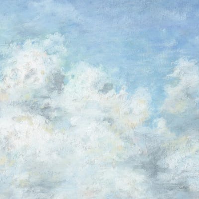 Heavenly Blue II by Lisa Audit framed canvas print